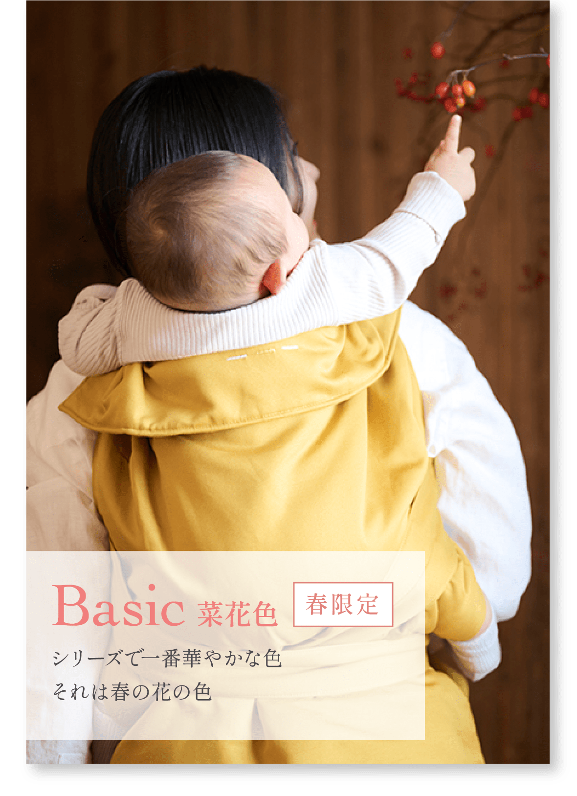Basic菜花色